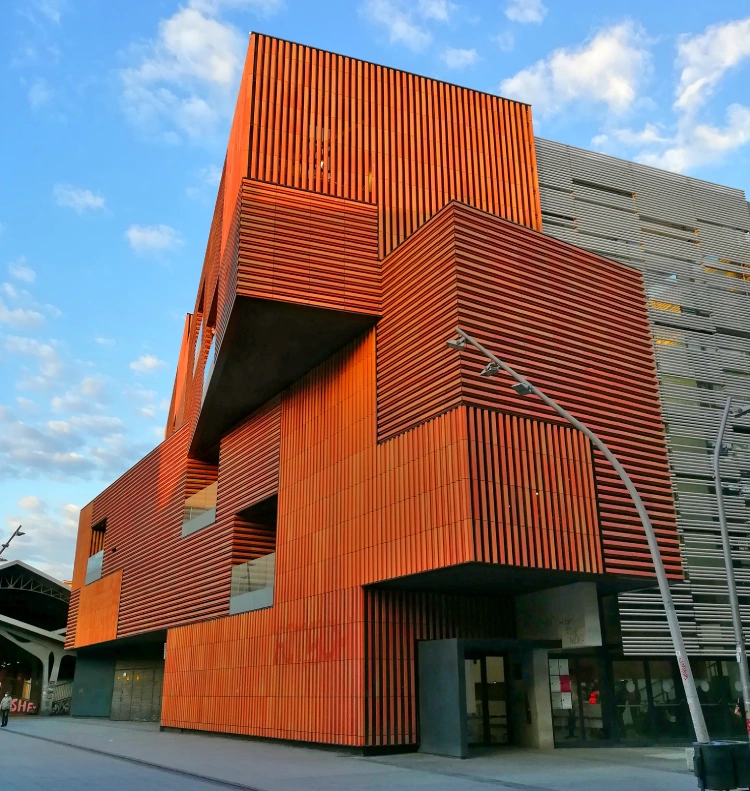 Escola Massana en Barcelona - Carme Pinós.